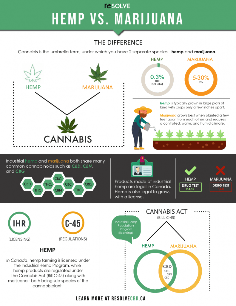 CBD oil for anxiety