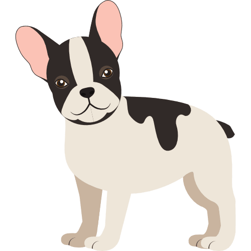 Dog5