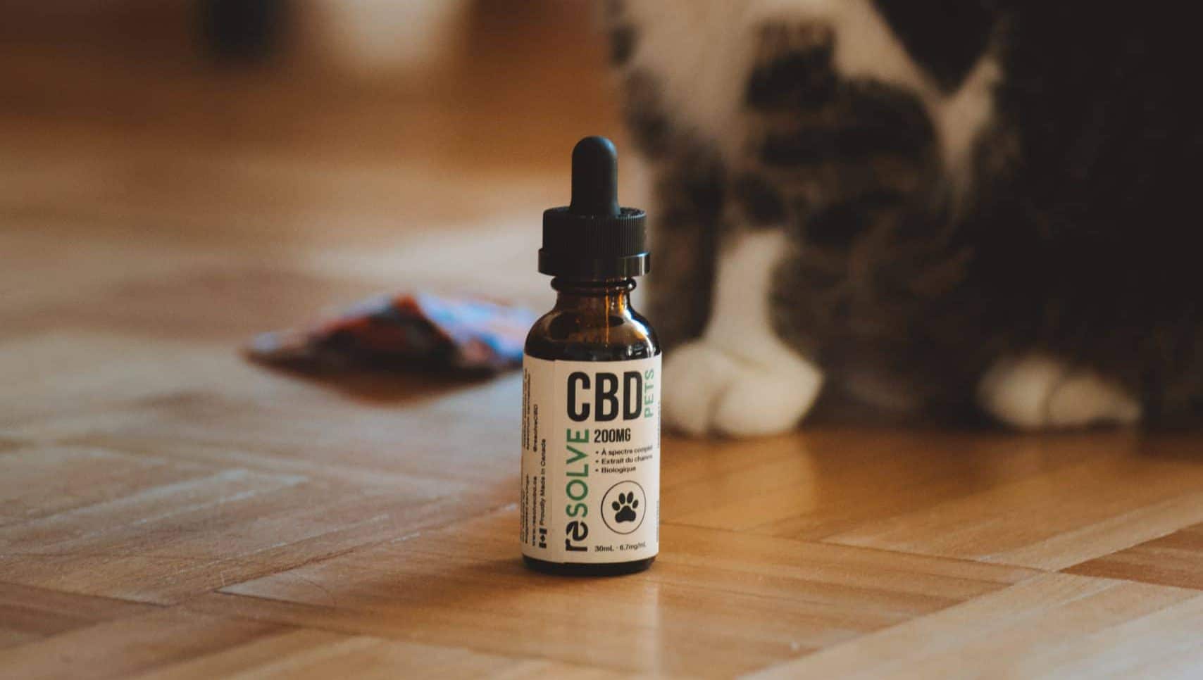 Which CBD product should I try?