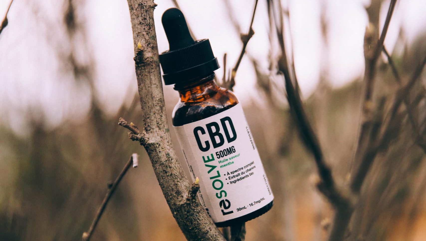 Hemp oil vs. CBD