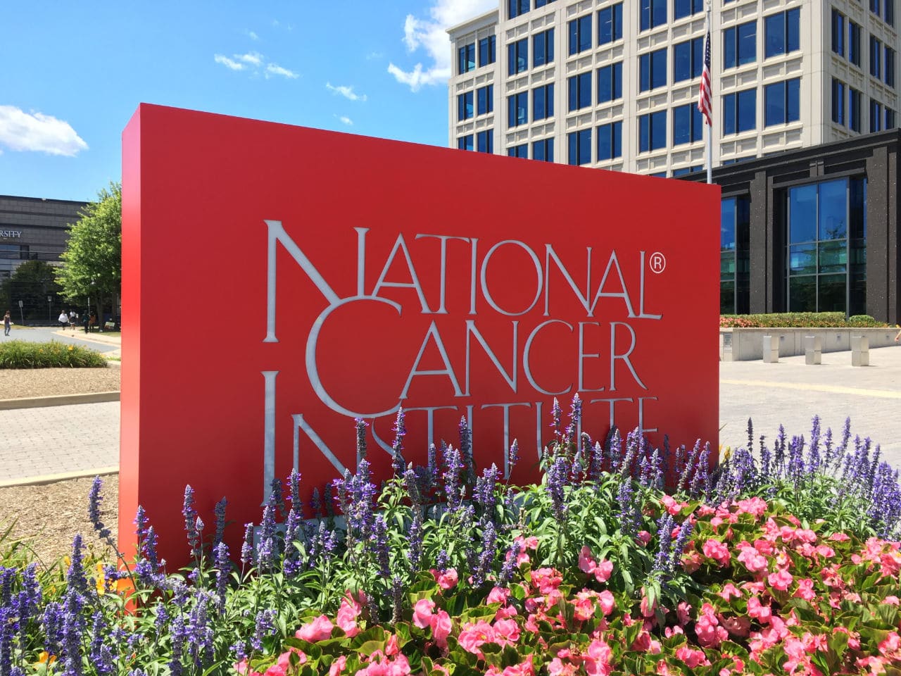 National Cancer Institute CBD and Cancer