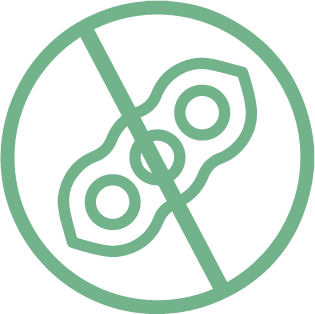 Icon_No Soy_Green Icon_No Soy_Green