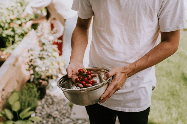 Exploring Vegan CBD: Is CBD Truly Vegan? Unveiling the Health Benefits