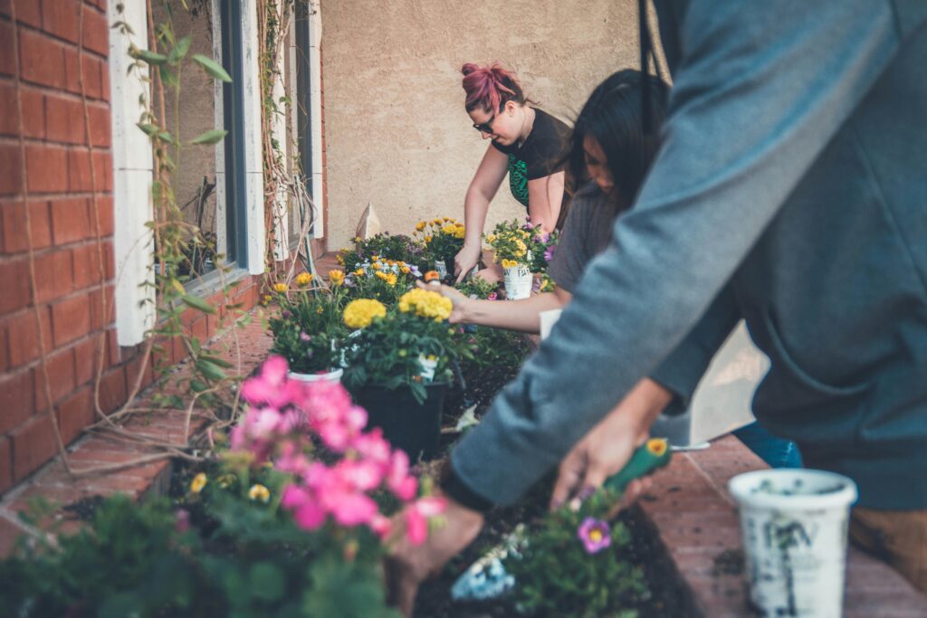 CBD and Gardening: Innovative Ways to Boost Plant Growth