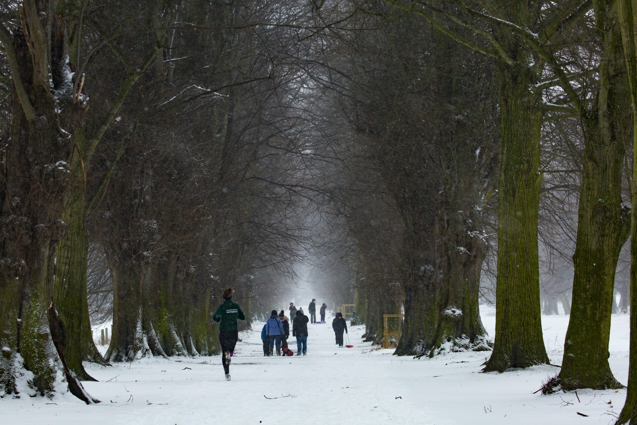 Stay Warm and Strong: Winter Running with CBD in Toronto