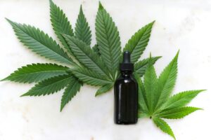 Cannabis CBD: Your New Ally for Faster and Better Post-Workout Recovery