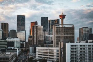 CBD Calgary: What You Need to Know Before Buying Locally