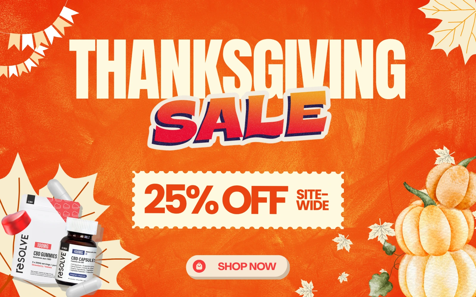 Web Banner – Landing Page MOBILE