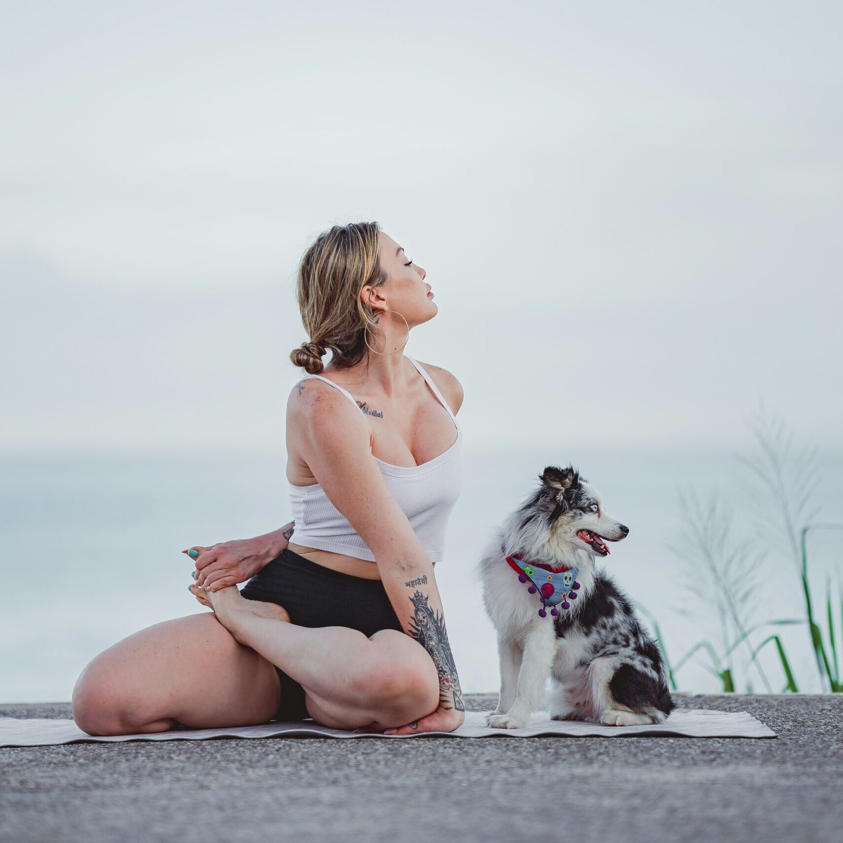Exploring the Massive World of Yoga for Dogs with CBD