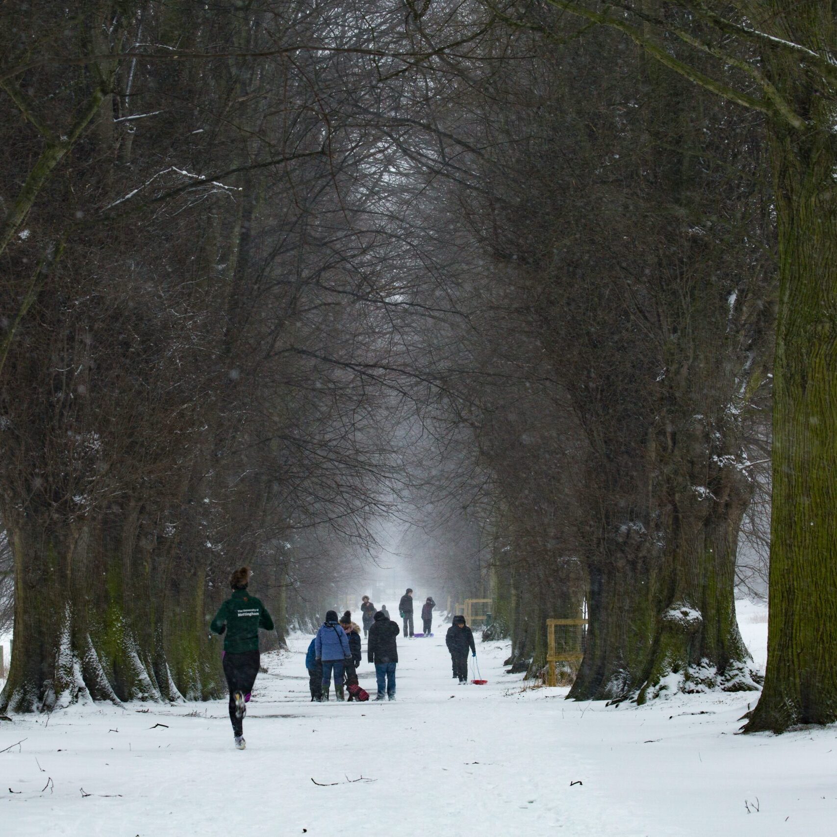 Stay Warm and Strong: Winter Running with CBD in Toronto