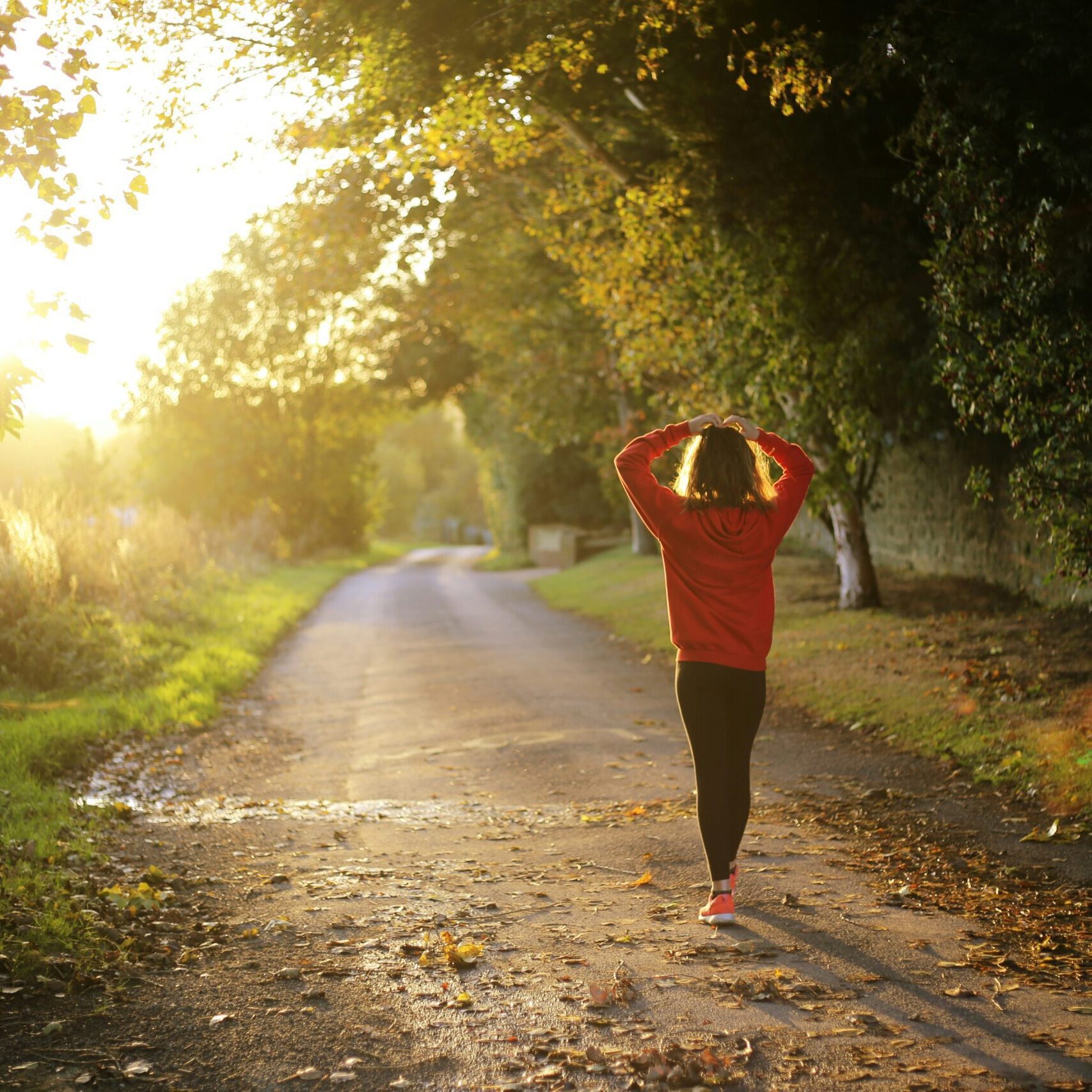 CBD for Fall Wellness: The Ultimate Guide to a Healthier Season