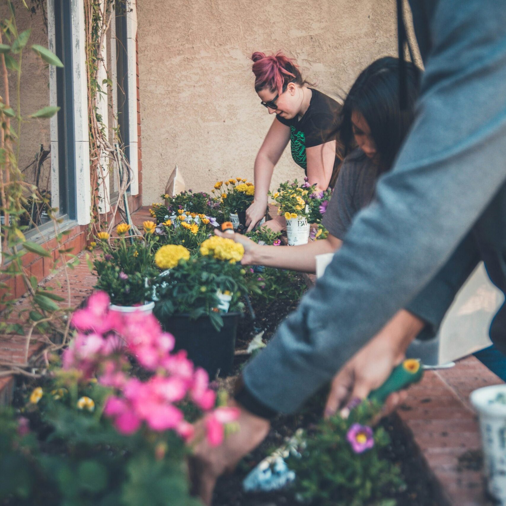 CBD and Gardening: Innovative Ways to Boost Plant Growth