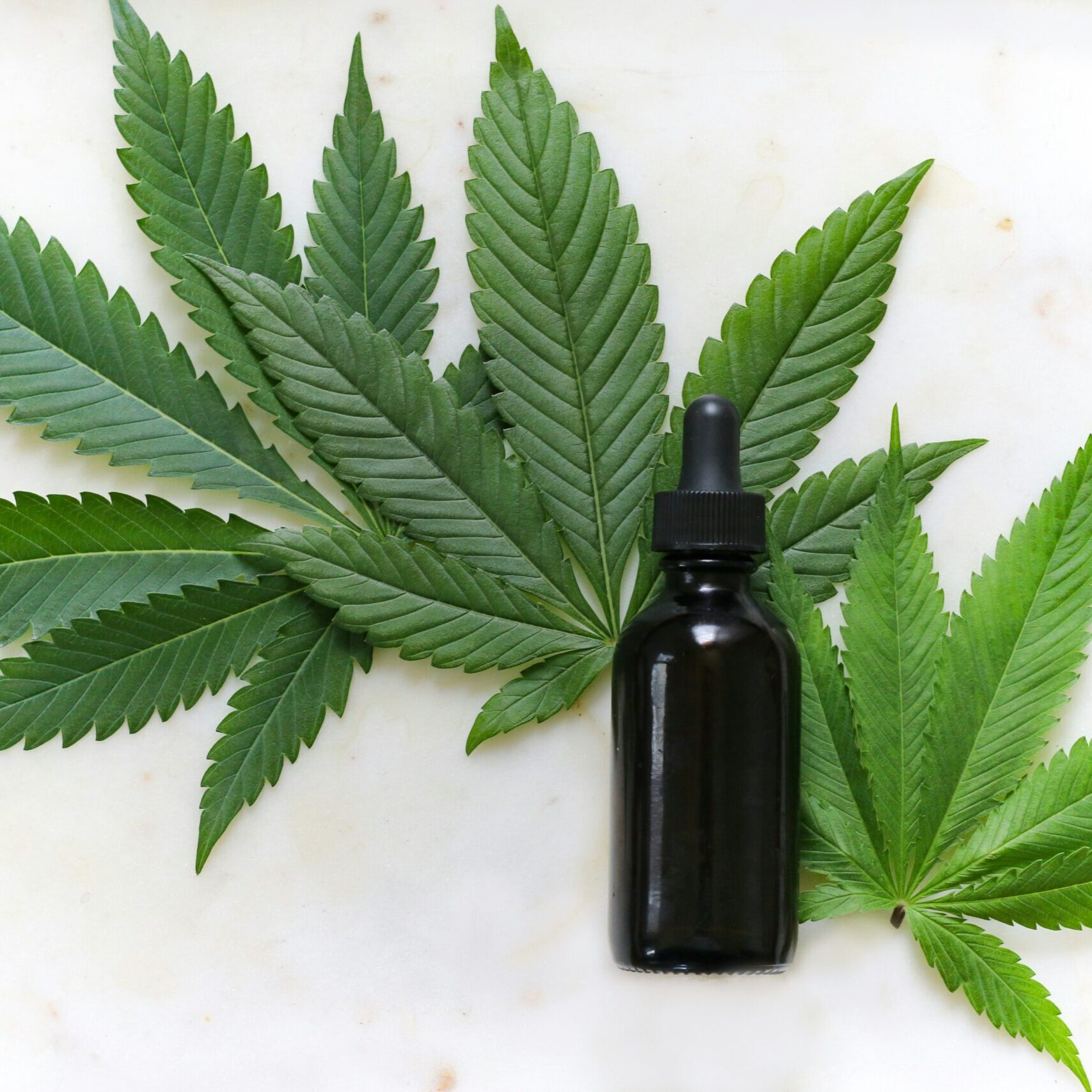 Cannabis CBD: Your New Ally for Faster and Better Post-Workout Recovery