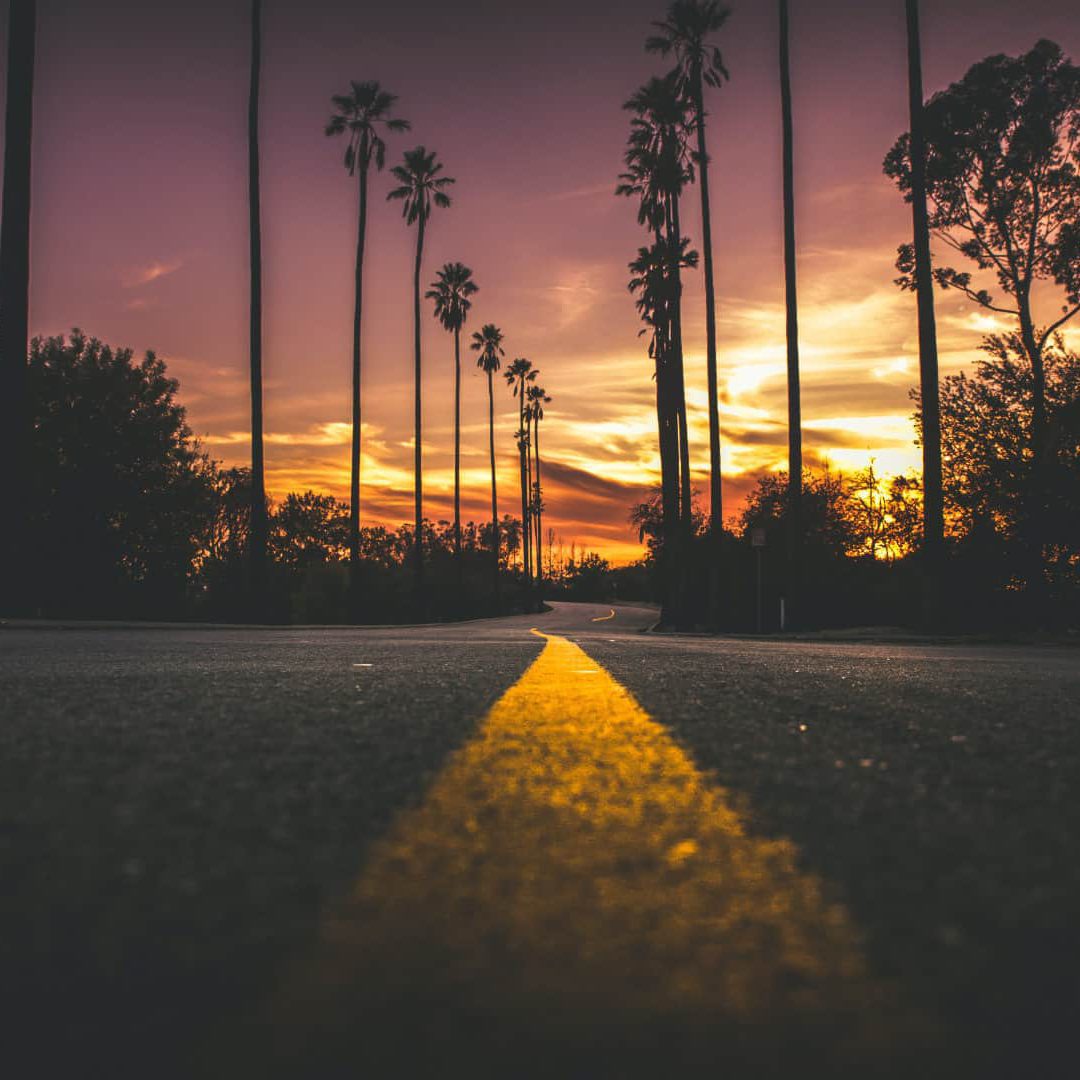 Picture of a road at sunset with palm trees on both side